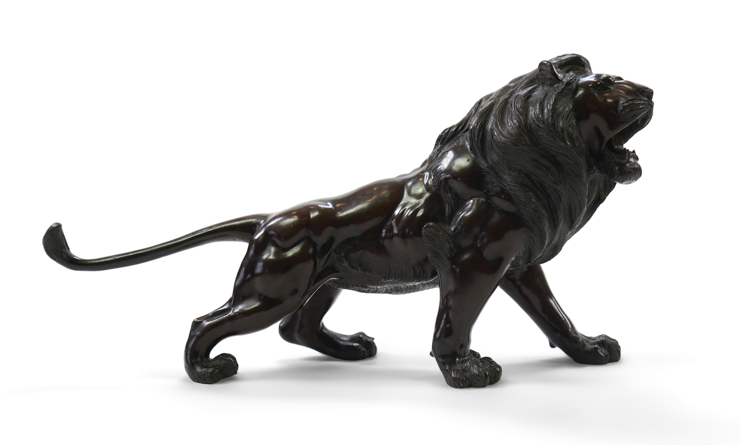 A Japanese patinated bronze okimono of a roaring lion, Meiji period